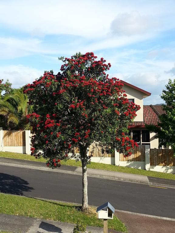 Lush & Co Auckland Bed & Breakfast Buitenkant foto