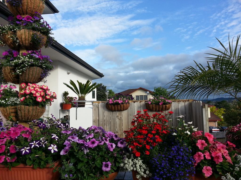 Lush & Co Auckland Bed & Breakfast Buitenkant foto